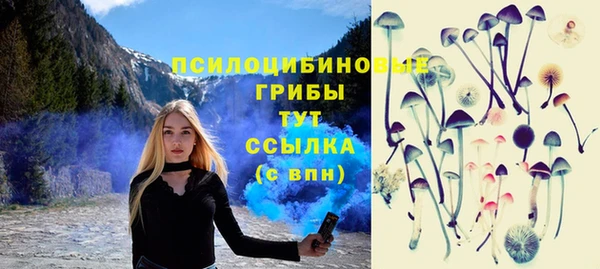 apvp Лихославль