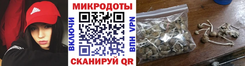 Купить  Курильск  Галлюциногенные грибы GOLDEN TEACHER 